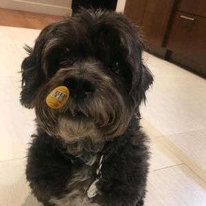 Meet your Posher, Narumi